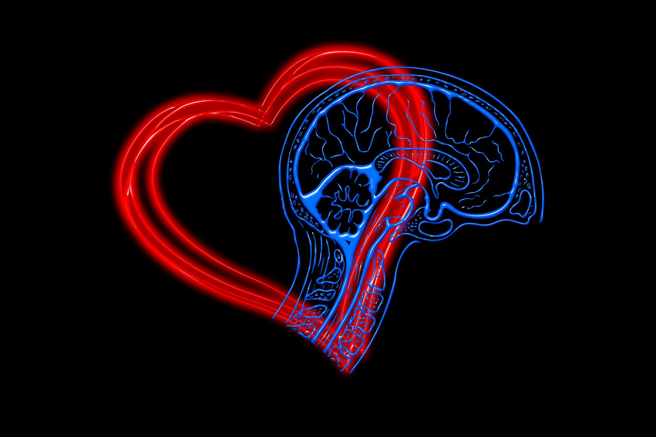 heart, mind, emotional intelligence