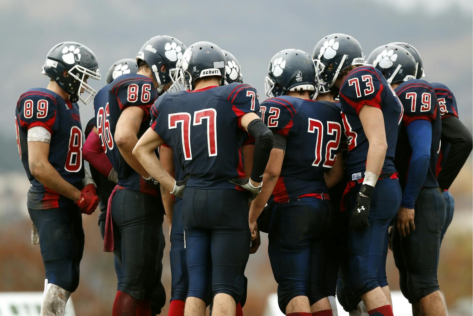 American football players in a huddle planning their next move on a grassy field.